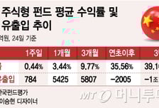 '차이나 리스크' 옛말…자금몰이하는 中펀드, 한달새 5000억 유입