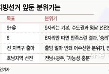 [MT리포트]지선, 민주당 '9+@' 기대…수도권·영남권이 변수