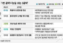 [MT리포트]깜깜이 제주, '중국난개발 막자'vs'지방분권 완성'