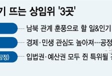 [MT리포트]"제가 가보겠습니다" 외교통일·정무위 뜬다