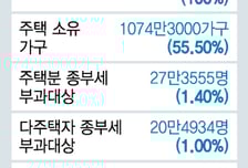 [MT리포트] 징벌적 과세? 중산층 증세?…특위 권고안 팩트 체크  