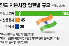 [MT리포트]자본시장, 인도 투자 물꼬 터진다