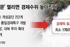 [MT리포트]돈 되는 남북 경협, 최소 170조원 '실속' 찾자