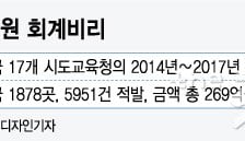 [MT리포트]걸려도 처벌은 솜방망이…사립유치원 회계 불투명한 이유