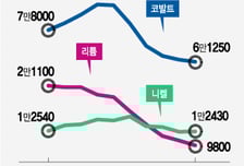'코·리·니' 내리니?…배터리 잭팟 쌓인다