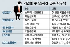 [MT리포트]탄력근로제 확대 재계 '숨통'…"업종별 추가보완책 필요"