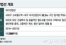 '지하'가 돌파구 대구산업선 "인구 늘어 예타 가능했는데…"