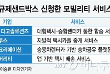 [MT리포트]모빌리티에게 아직은 먼 규제샌드박스