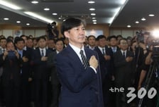 "황교안-채동욱 그 이상?" 조국 불안은 왜 국민의 몫인가