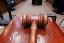 [MT리포트]"홍길동도 아니고"…7개 국감장에 소환당한 기업