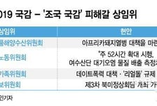 [MT리포트]'조국감' 피해간 상임위…증인 엮으려는 기류도