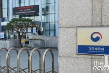 ‘실질과세’ 일관된 적용이 필요하다