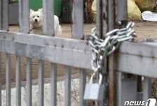 [The W]반려견에 빨간 압류 딱지?…동물, 더 이상 물건아니다