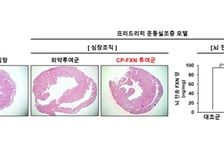 셀리버리, 글로벌 톱10 제약사와 선천적 유전병 치료제 공동개발계약 연장 합의