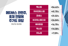 [투자뉴스7] 메타버스 '돌풍' 꼭지를 주의하라! 아직 기회 남은 곳은?