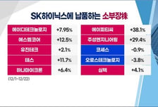 [투자뉴스7] SK하이닉스 '굿뉴스', 하지만 '흥분금지' 왜?… 수익은 <전력반도체株>로