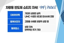 [투자뉴스7] 차량용 반도체 '동트기 전 매수!' 실적도 받쳐주는 TOP3