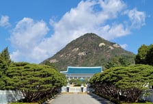 굿바이 '청와대'[우보세]