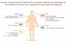 올릭스 "CNS 플랫폼 실험서 뇌 조직 전달·유전자 발현 억제 효능 확인"