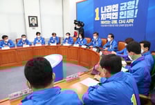 여당인 듯 여당 아닌 여당 같은 민주당[우보세]