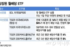 "불안한 증시 월세처럼 배당받자"…잇따라 나오는 월 배당ETF