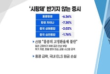 [투자뉴스7] 현대차 조정은 기회! 포스코케미칼의 질주! 저가매수 가능 DDR5