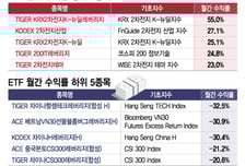 2차전지 55% 뛸때 항셍테크 35% 추락..ETF 수익률 극과 극
