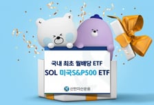 SOL 미국S&P500, 국내 월배당 ETF 중 개인 순매수 1위