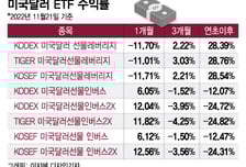 요동치는 환율...달러 ETF 수익률도 '희비교차'
