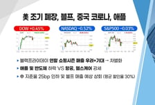 [투자뉴스7] 급등 '래몽래인' 팔고! 현대차-SK, 애플카 등 넘치는 합작 이슈 속 탑픽은?