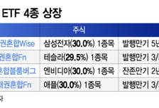 삼전·애플 등 '똘똘한 한 종목 투자' ETF 나왔다