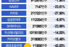 개미들 줍줍한 종목 '지옥행'..10개 종목 평균 20% 빠졌다
