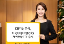 KB자산운용, '애플·아마존·테슬라' 3종목 집중투자 ETF 출시