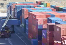 힘 못 쓴 수출 효자, 적자 키웠다…최악 성적표에 앞이 '캄캄'