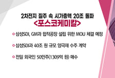 [매매의 기술] 2차전지 질주 속 시가총액 20조 돌파 <포스코케미칼>