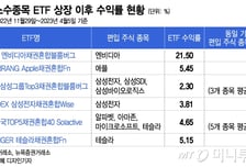 단일 종목 ETF 수익률 답답?…"중요한 건 꺾이지 않는 방어력"