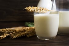 "우유 넣지 않고 '오트 밀크'… 안돼" 4600호 낙농가 입장문 보니