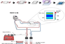 "골다공증 치료 새 길" 골격계 산소 농도 반영한 세포배양법 개발됐다