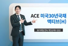 개미들 30거래일 연속 'ACE 미국30년국채액티브(H) ETF' 샀다