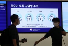 엠폭스 환자 2명 추가, 누적 42명…국내 감염 추정