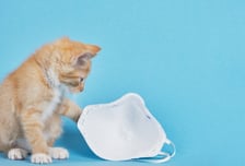 마스크 벗은 입안으로 불청객 찾아왔다…요즘 급증한 '이 병'