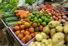 "과일 껍질은 벗겨 먹어요"…동남아 여행 전염병 예방법