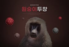 엠폭스 확진자 느는데… 국민 10명 중 6명 "난 안 걸린다" 자신감