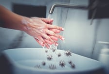 "생일 축하합니다" 손 씻을 때 2곡을?…'코로나 빗장' 연 후 개인 방역은