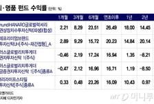 경기침체에도 호황 누리는 '에루샤'…럭셔리 펀드 수익률도 날아