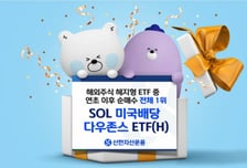 환율 변동성 커지자 'SOL 미국배당 다우존스(H)'에 개인 자금 몰려