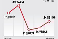 비자 발급 완화, 비대면진료 제도화…정부, '의료 관광' 팔 걷어붙인다
