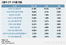 삼성·LG·SK·현대차 주가…그룹주ETF 치열한 자존심 경쟁