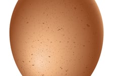 둥글고 뾰족한 달걀, 어디를 밑으로 놔야 할까 [한 장으로 보는 건강]