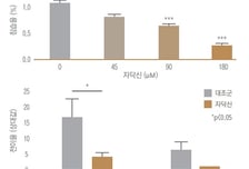 암환자 괴롭히는 전이, 항암·방사선 치료 때 면역조절물질 투여했더니…